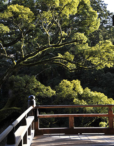 書写山　圓教寺